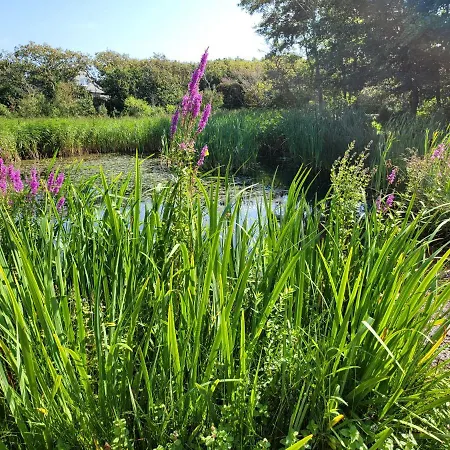 Canberra Bed & Breakfast Bergen aan Zee
