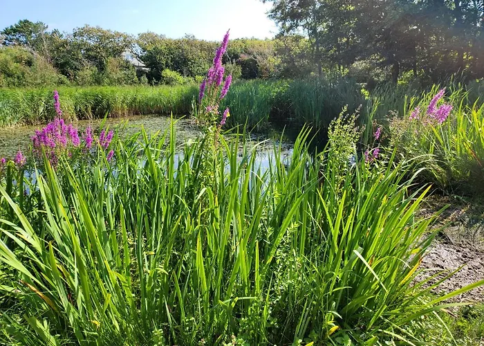 Canberra Gasthuis Bergen aan Zee